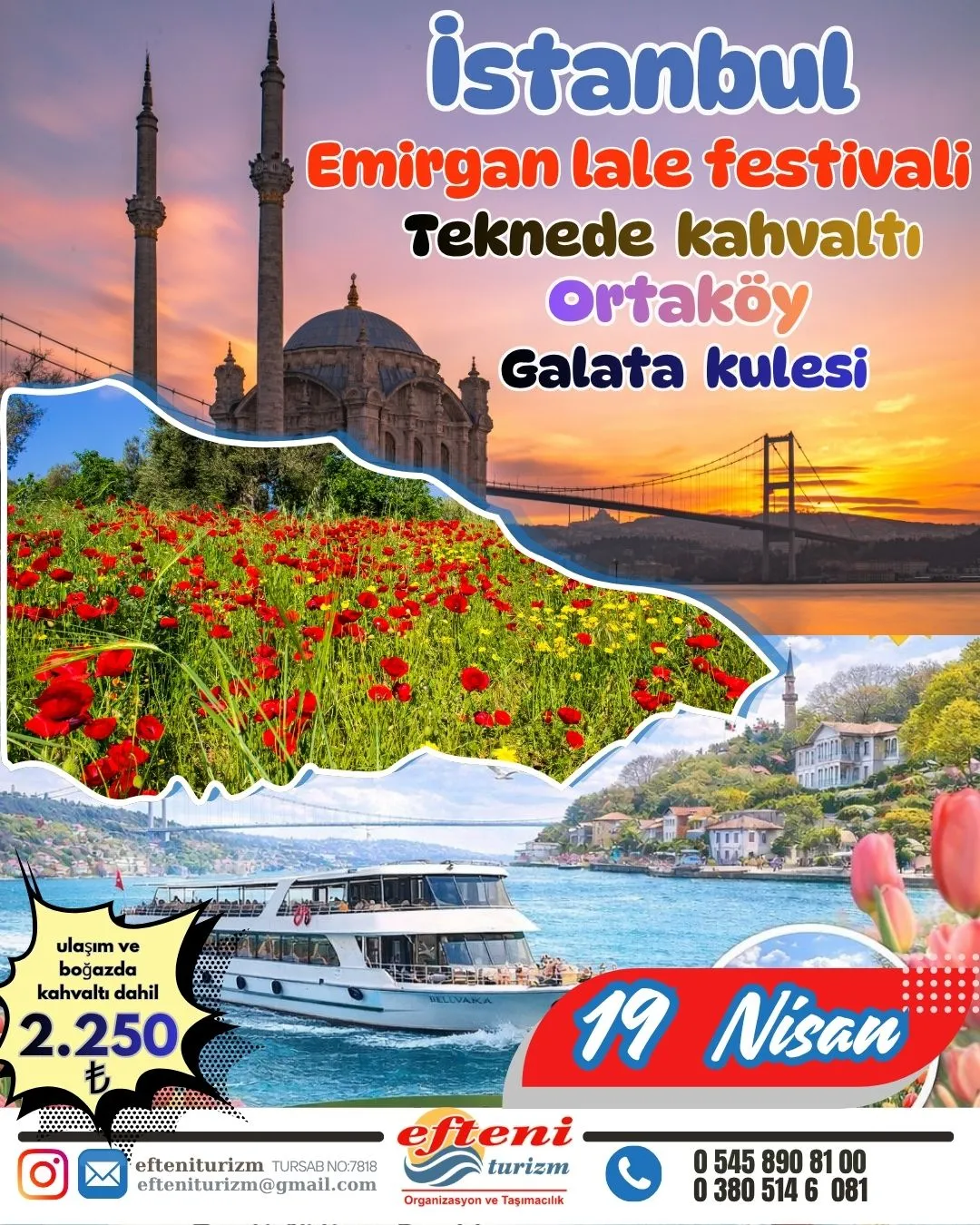 İstanbul lale festivali